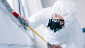 Best Pest Exclusion Services  in Pompano Beach, FL